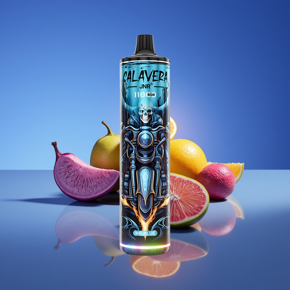 JNR Calavera 11000 Puffs Type-C Mr Mavi