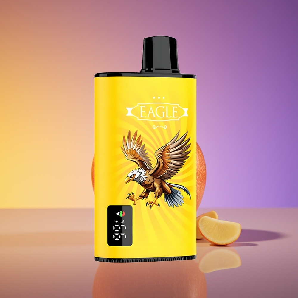 JNR EAGLE Smart 23000 Püf Rəqəmsal Ekran İki Alma