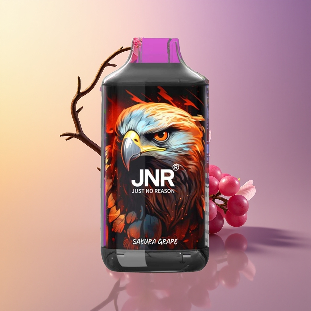 JNR Falcon 16000 Puff Dual Mesh Sakura Üzüm