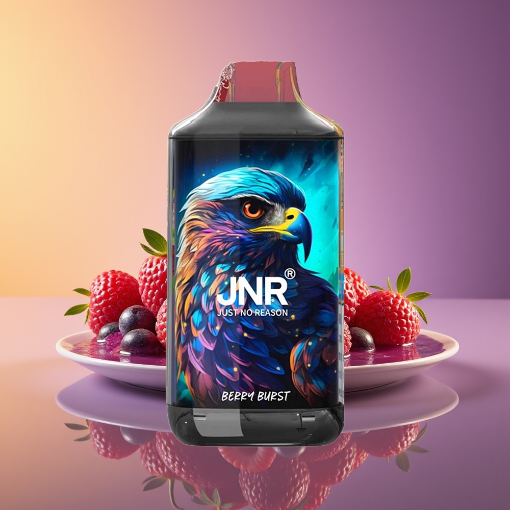 JNR Falcon 16000 Puffs Giləmeyvə Partlayışı