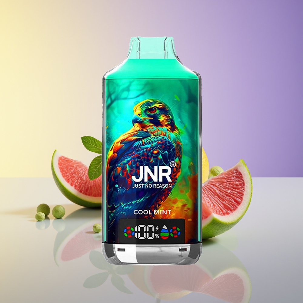 JNR Falcon X 18000 Puff Digital Cool Nanə