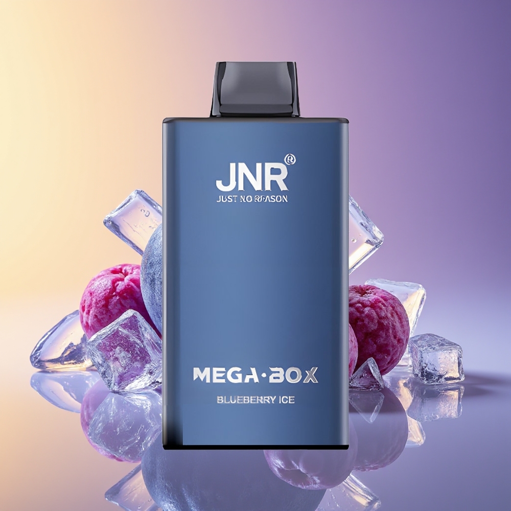 JNR Mega Box 25000 Puff İkili Mesh Göyərçin İsti