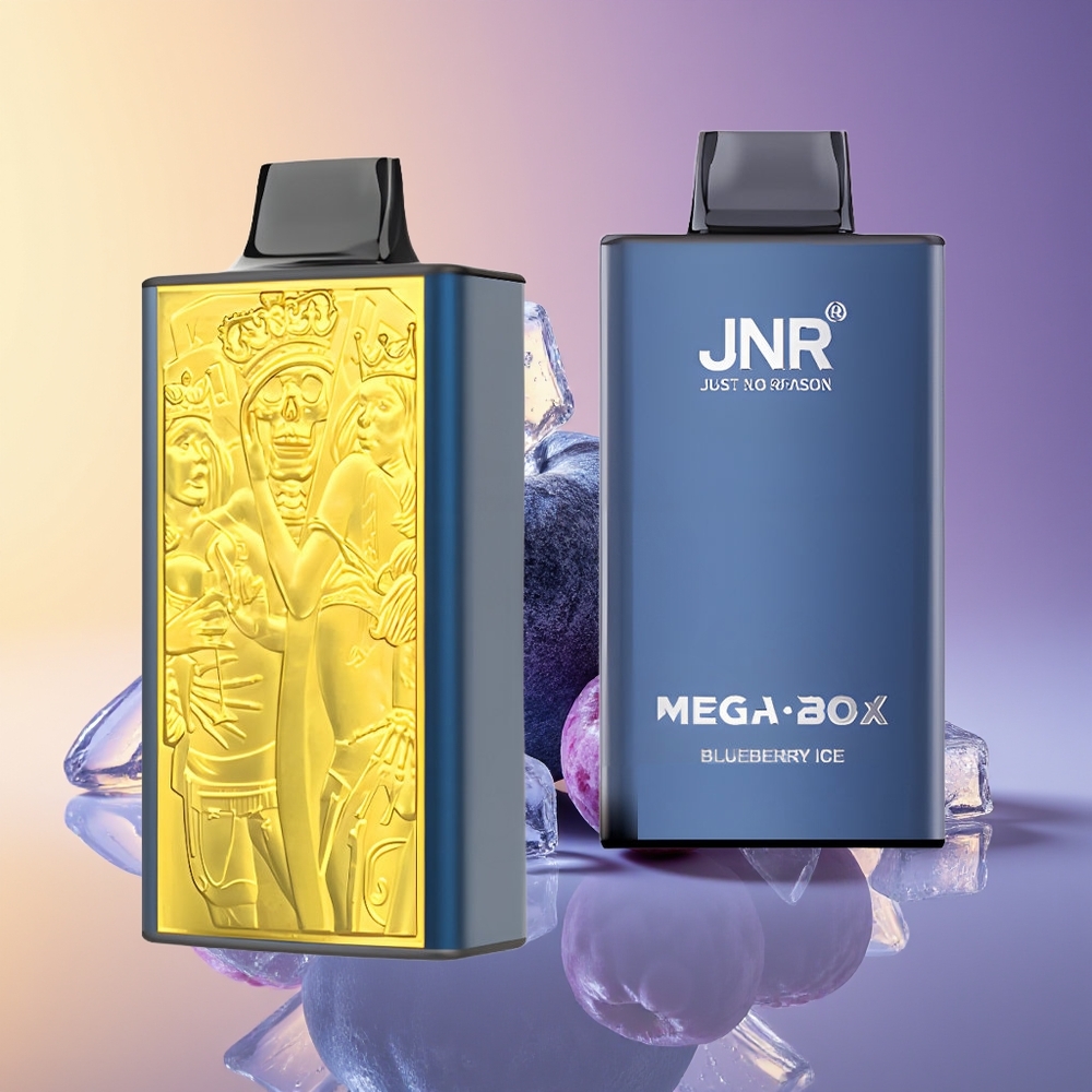 JNR Mega Box 25000 Puff İkili Mesh Göyərçin İsti