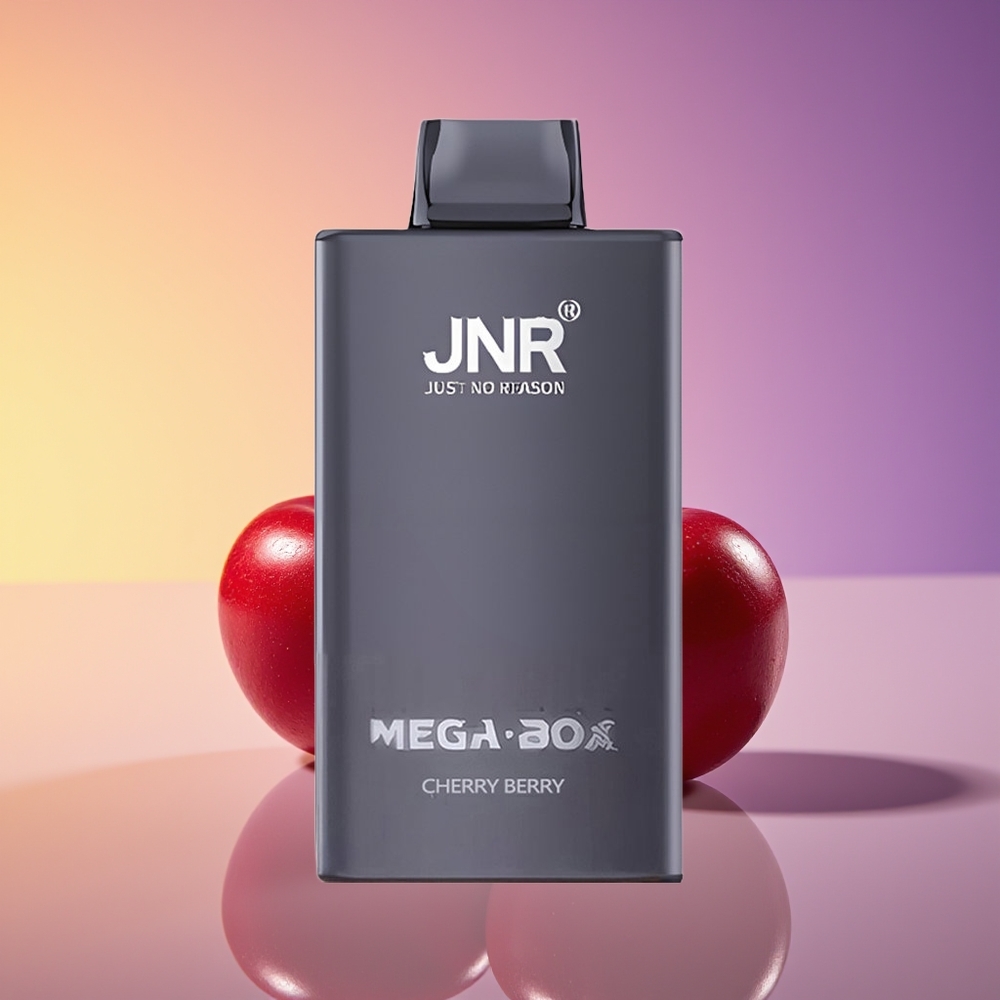 JNR Mega Box 25000 Puff Çəyrayt Beri