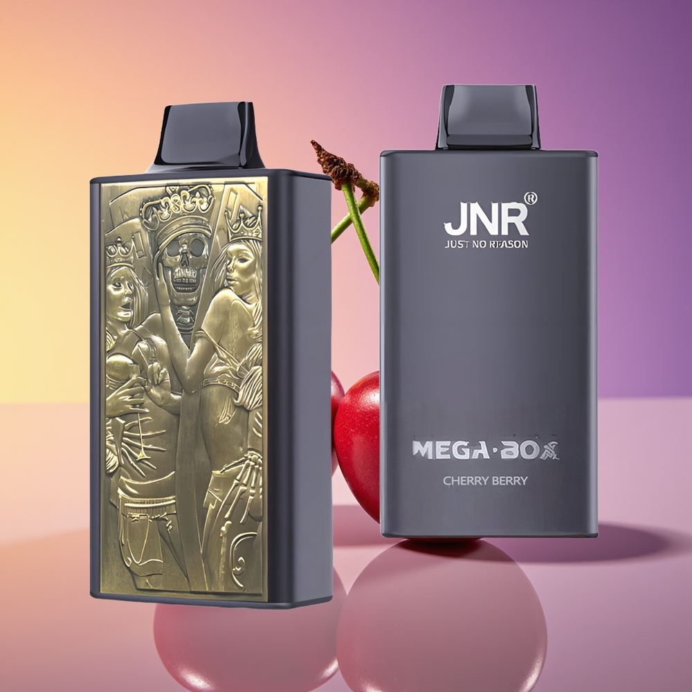 JNR Mega Box 25000 Puff Çəyrayt Beri