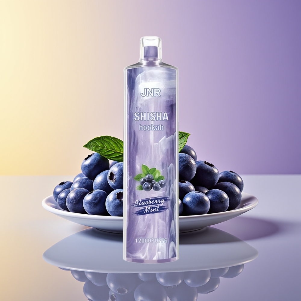JNR Shisha Hookah 12000 Puff Birdəfəlik Vape Göyəmli Nanə