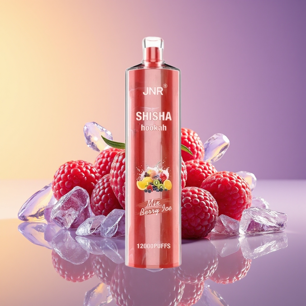 JNR Shisha Hookah 12000 Puff Giləmeyvə Buz
