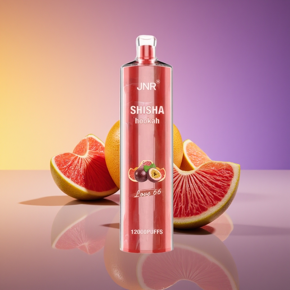 JNR Shisha Hookah 12000 Puff Sevgi 66