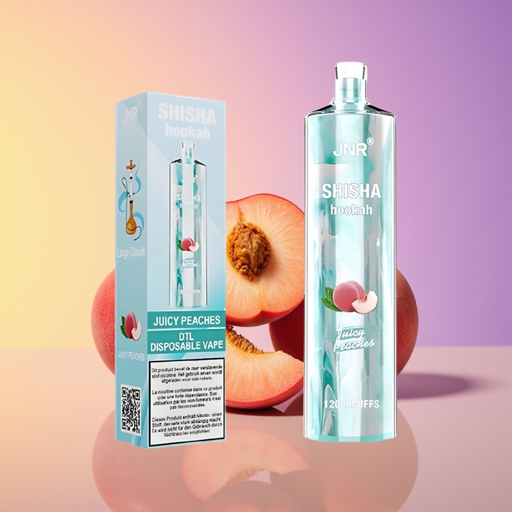 JNR Shisha Hookah 12000 Puffs Şirən Şaftalı