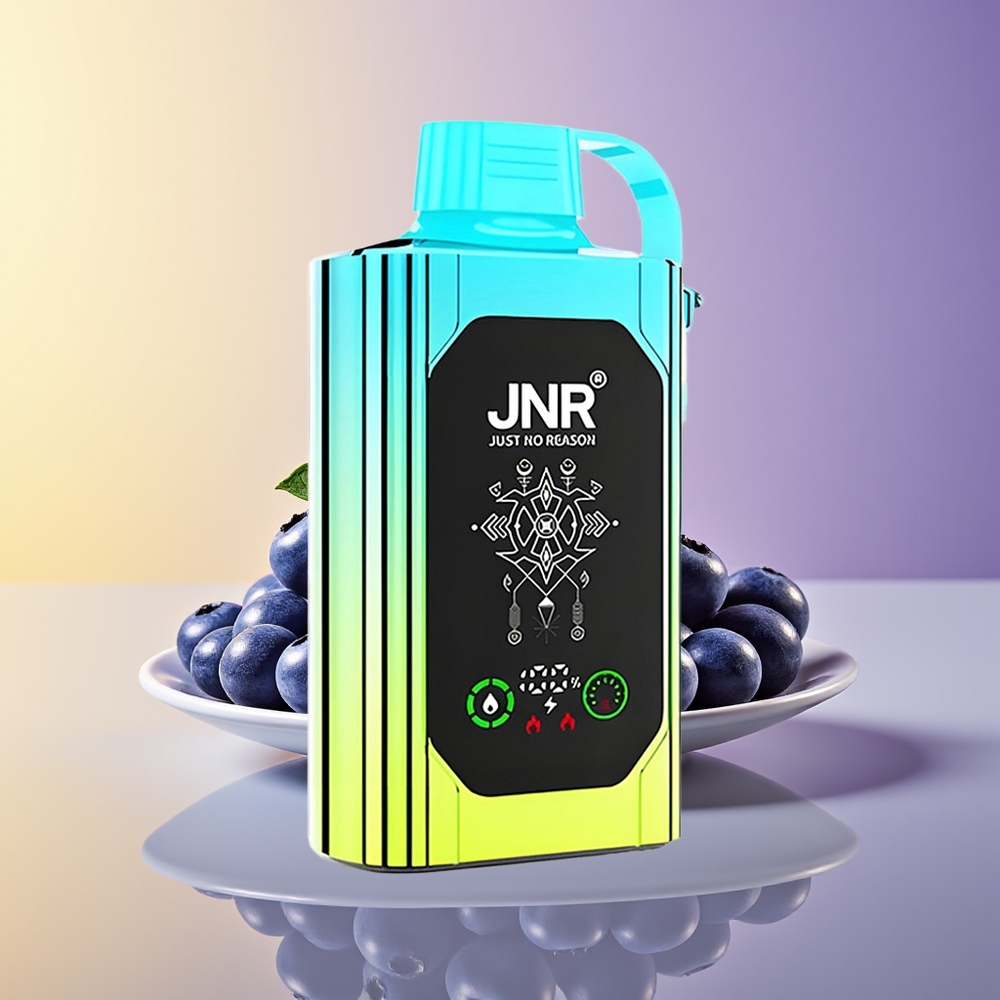 JNR Shisha Hookah Box 20500 Püflər Dual Mesh Mürəbbəli Nanə