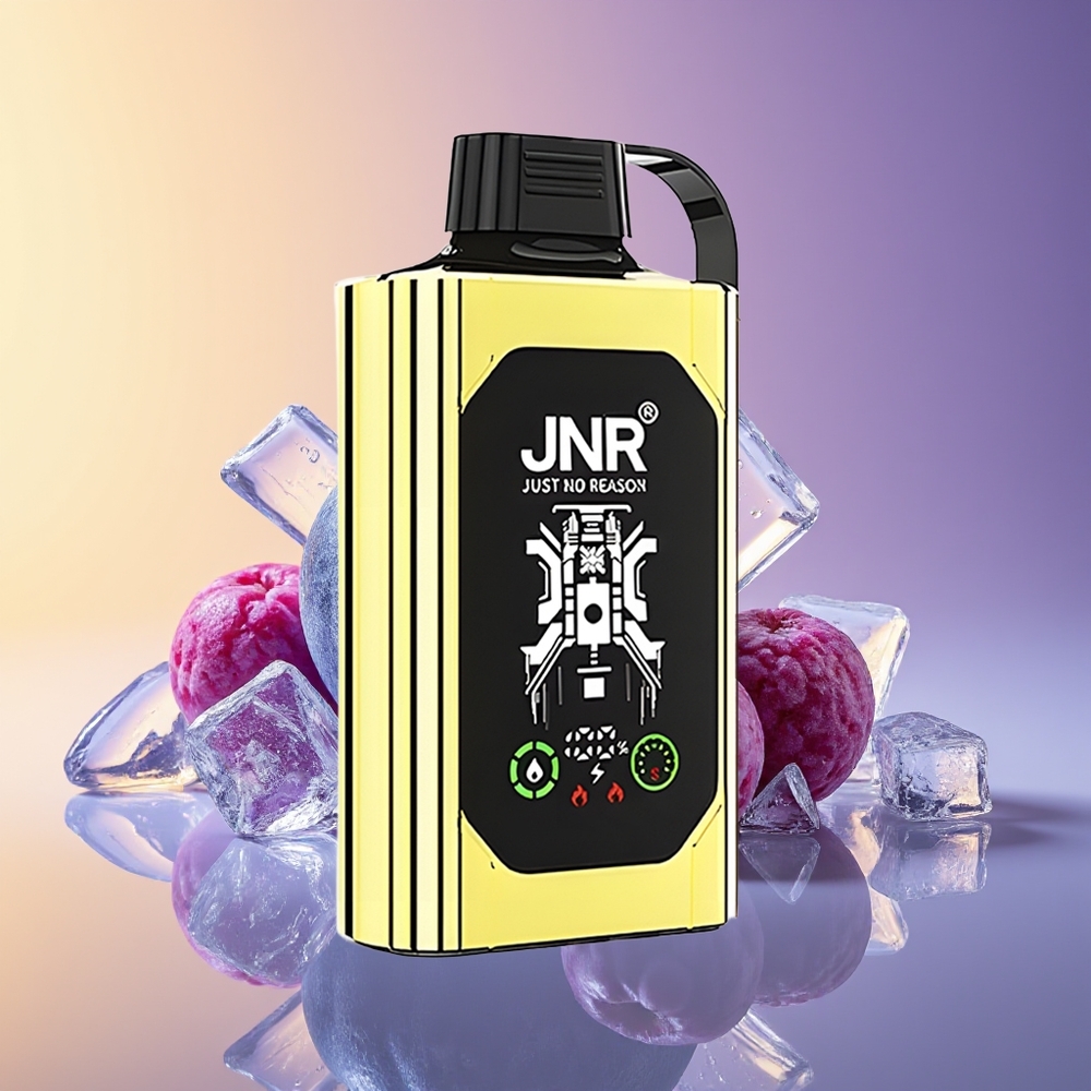 JNR Shisha Hookah Box 20500 Puff Dual Mesh Coil Badamlı Buz