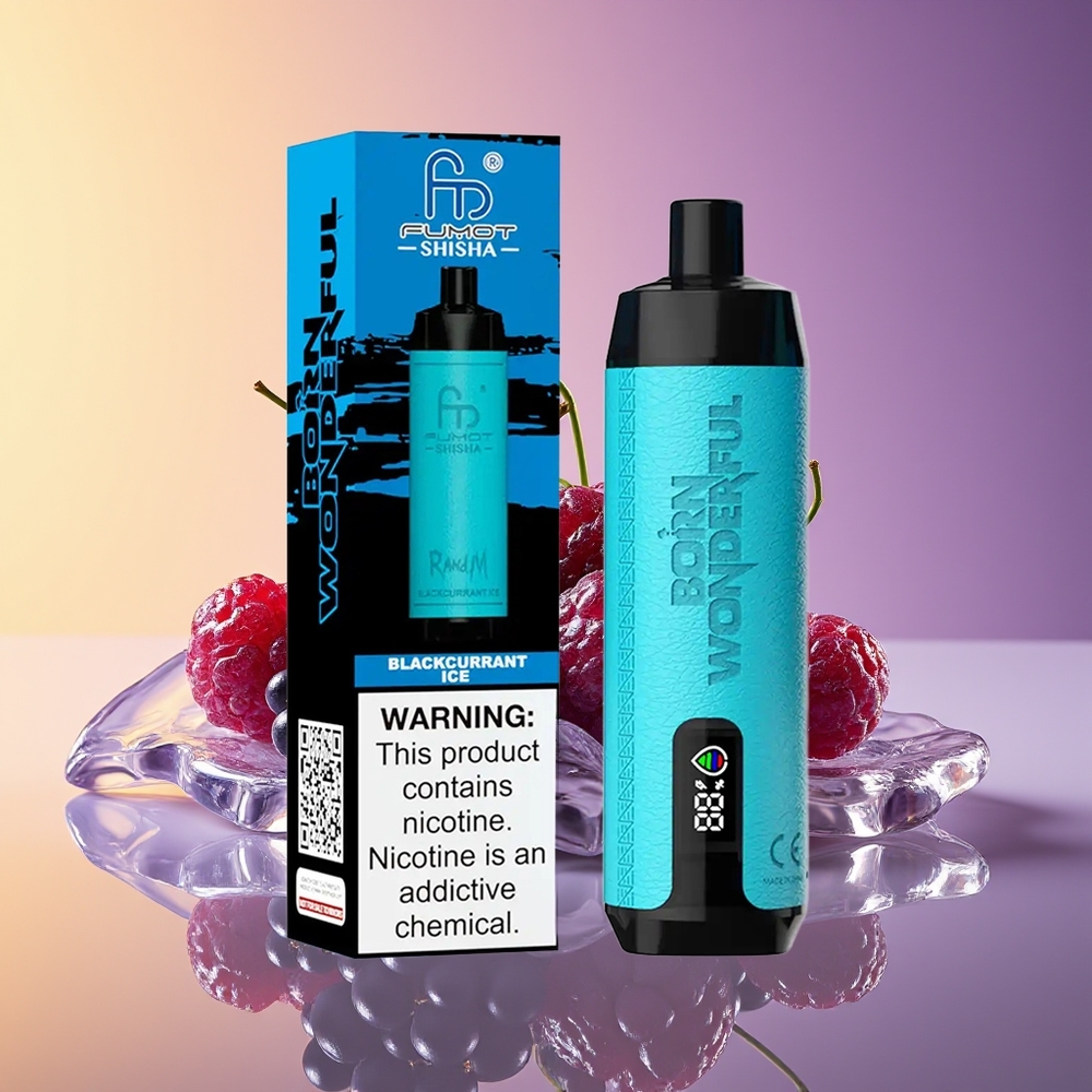 RandM Fumot Shisha 10000 Puff LED Göstərici Qarağat Buzu