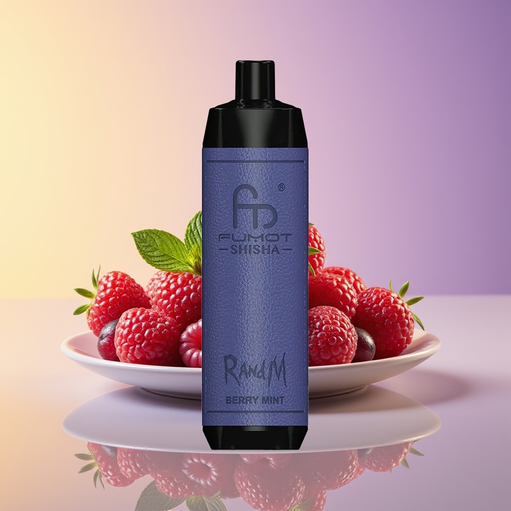 RandM Fumot Shisha 10000 Puff LED Göstəricili Berry Nanə