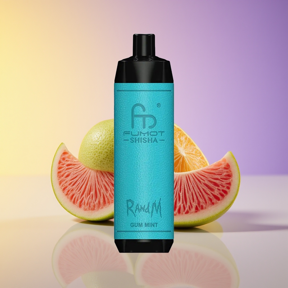 RandM Fumot Shisha 10000 Puffs LED Göstərici Şam Nanə Aroması