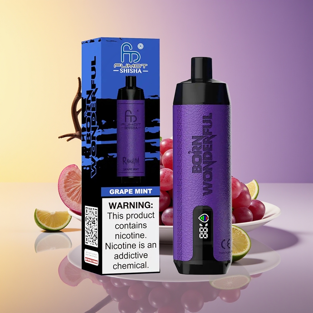 RandM Fumot Shisha 10000 Puffs LED İndikator Üzüm Nanə