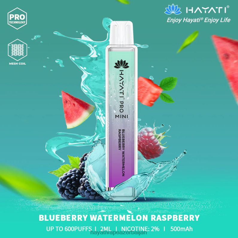 Hayati Pro Mini birdəfəlik qaragilə qarpız moruq 6TZ6F25 Hayati Vape Liquid